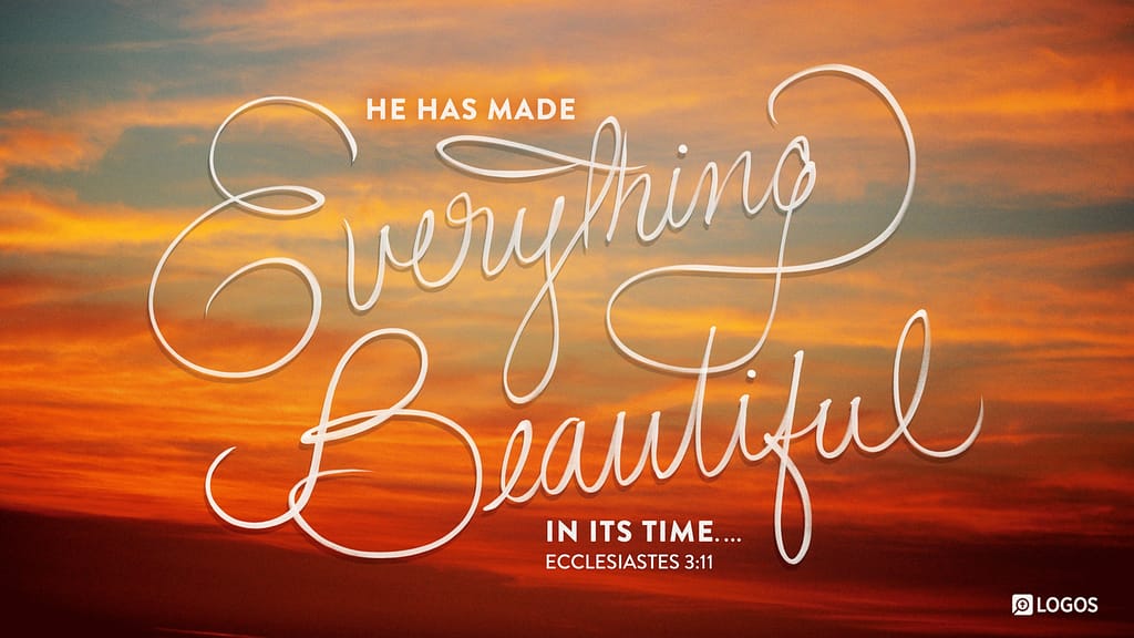 Ecclesiastes 3:11 [ESV]