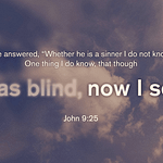 John 9:25 [ESV]