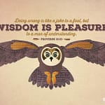 Proverbs 10:23 [ESV]