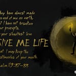 Psalm 119:87–88 [ESV]: