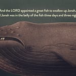 Jonah 1:17 [ESV]