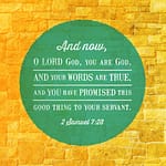 2 Samuel 7:28 [ESV]