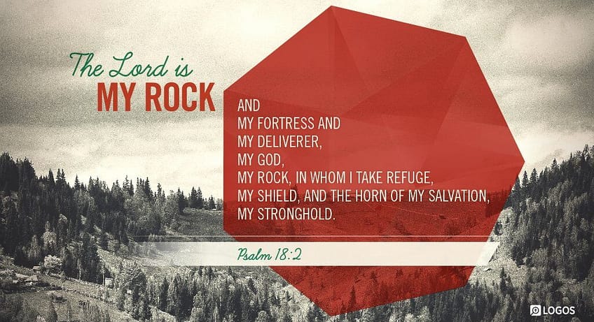 Psalm 18:2 [NKJV]