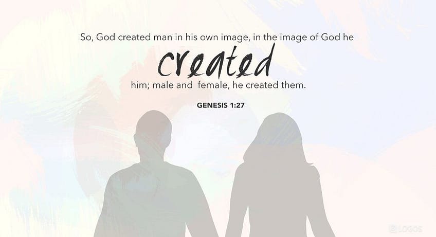 Genesis 1:27 (NKJV)