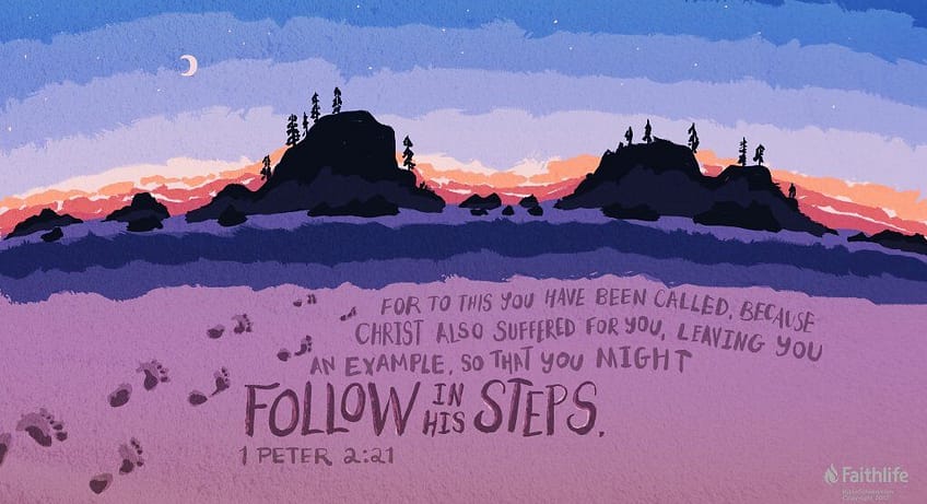 1 Peter 2:21 [NKJV]