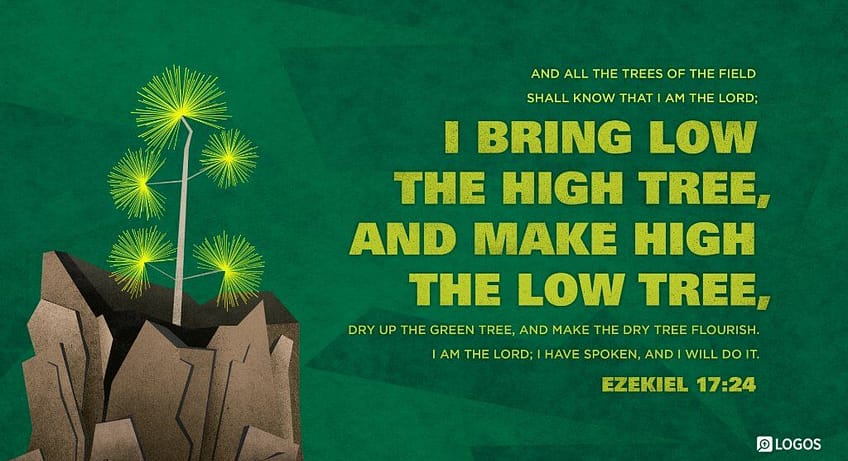 Ezekiel 17:24 [NKJV]