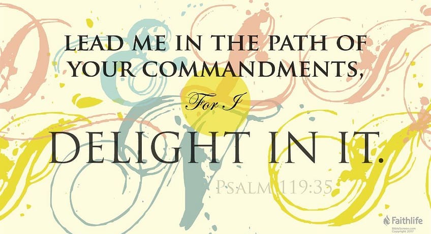 Psalm 119:35 [ NKJV]