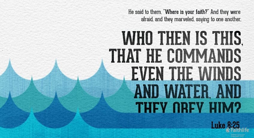 Luke 8:25 [NKJV]