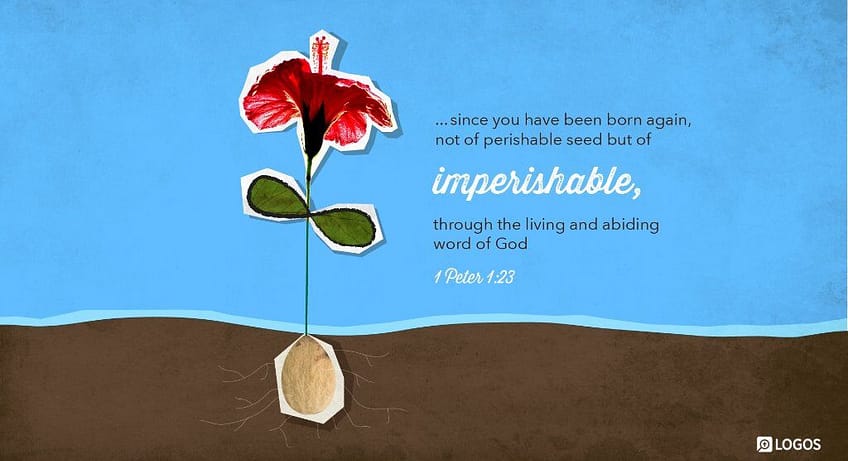 1 Peter 1:23 [NKJV]