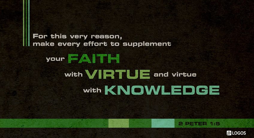 2 Peter 1:5 [NKJV]