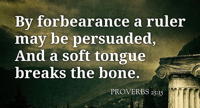 Proverbs 25:15 [NKJV]
