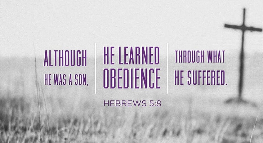 Hebrews 5:8 [RSV]