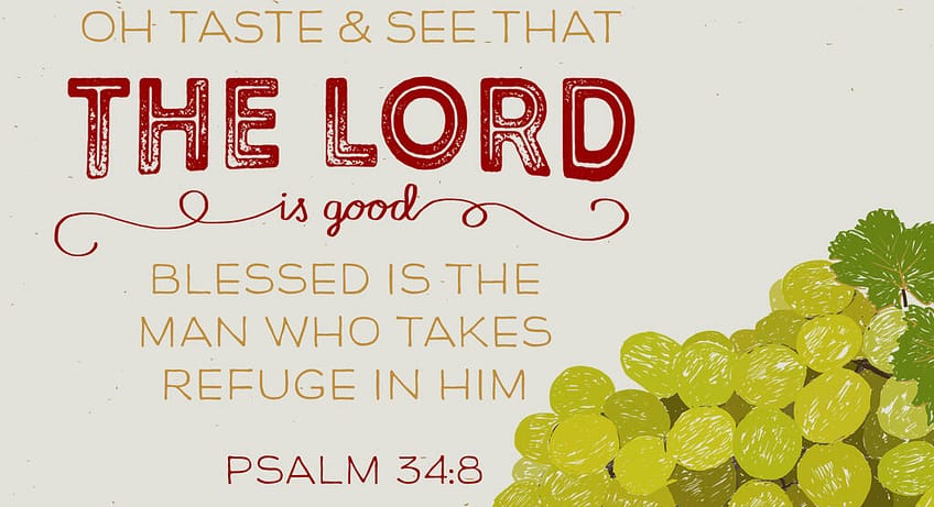 Psalm 34:8 [NKJV]