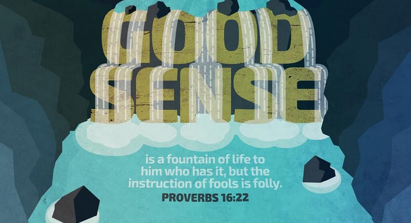 Proverbs 16:22 [ESV]