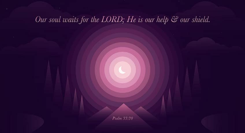 Psalm 33:20 [ESV]