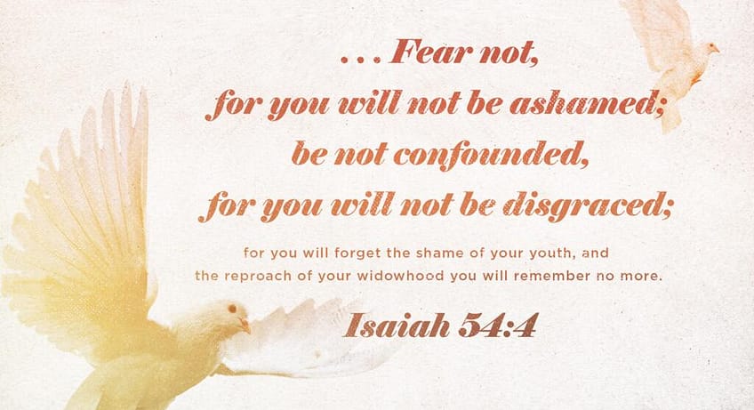 Isaiah 54:4 [ESV]