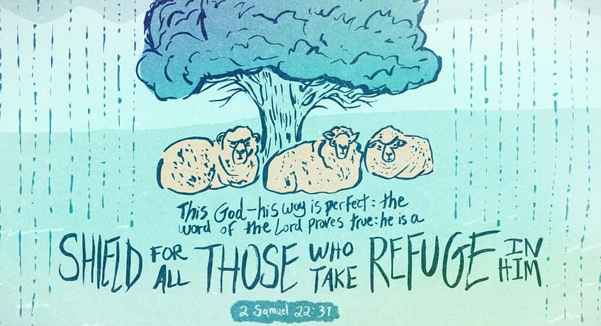 2 Samuel 22:31 [ESV]