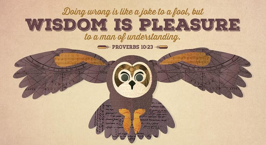 Proverbs 10:23 [ESV]