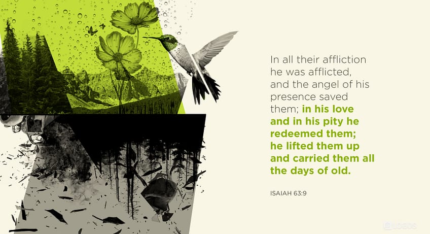 Isaiah 63:9 [ESV]