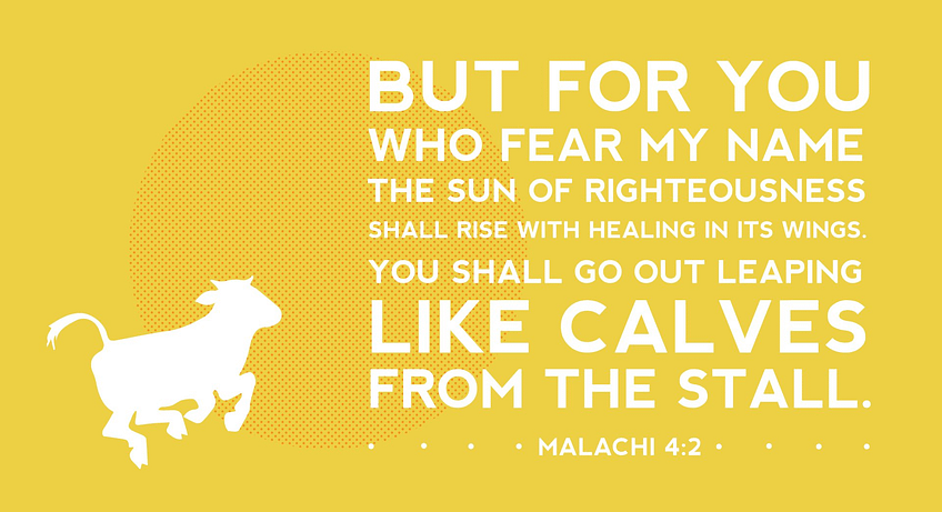 Malachi 4:2 [ESV]