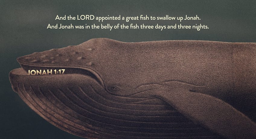 Jonah 1:17 [ESV]